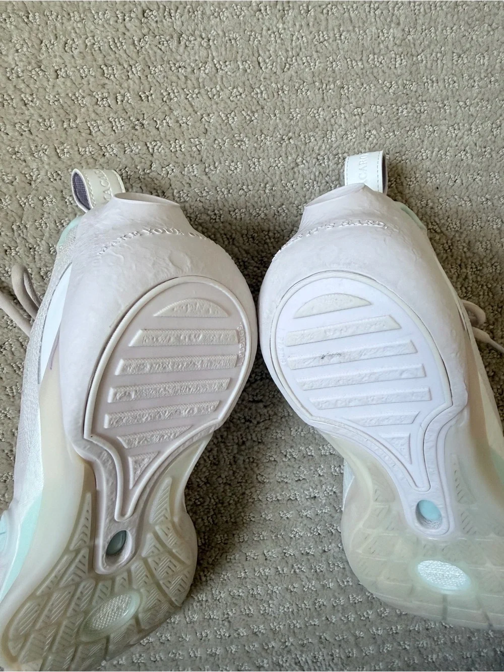 Cherry blossom way of wade all city 13 basketball shoe